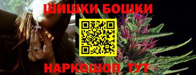 стафф Заволжье