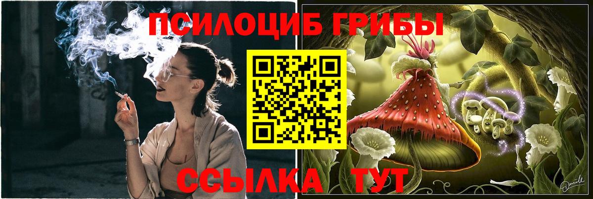 Псилоцибиновые грибы прущие грибы Ливны