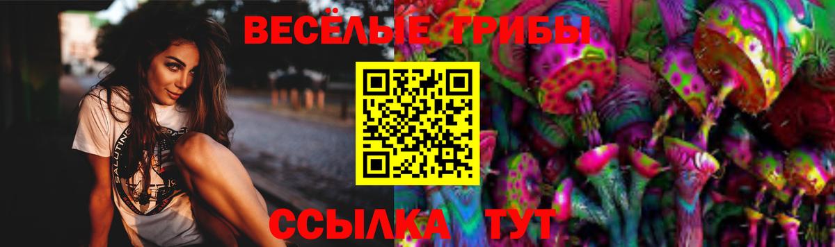 Псилоцибиновые грибы GOLDEN TEACHER  Галлюциногенные грибы мицелий  Вход с VPN  Ливны 
